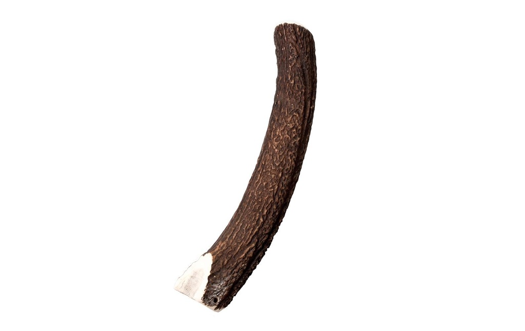 Wildes Land Produit à mâcher  Bois de cerf Demi XL