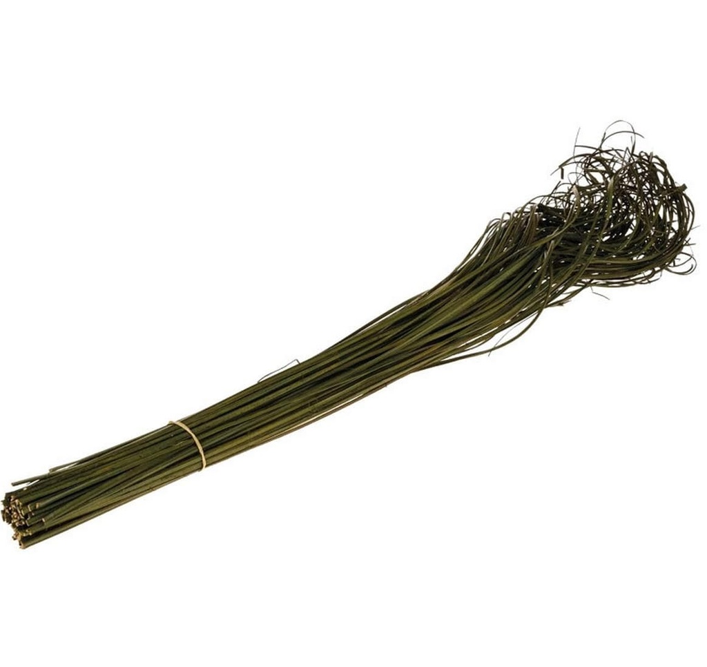 Opiflor Curly Ting vert mousse