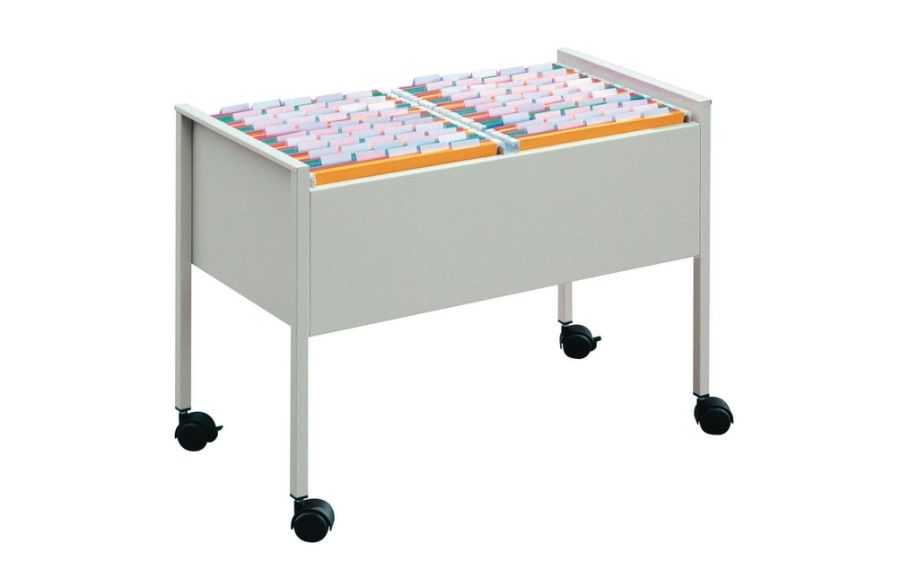 DURABLE Chariot pour dossiers suspendus Economy 100 DUO A4 gris
