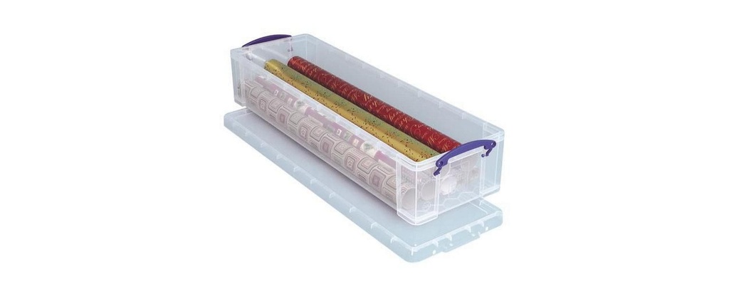 Really Useful Box Boîte de rangement Transparent, 22 l