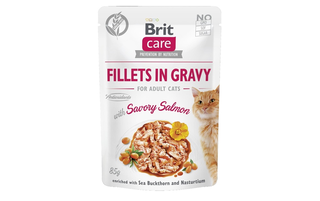 Brit Alimentation humide Care Fillets Sauce Saumon, 85 g