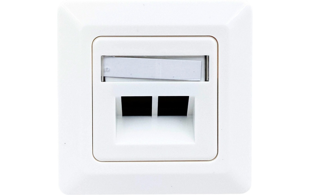 Wirewin Boîtier WKS OUTLET 2