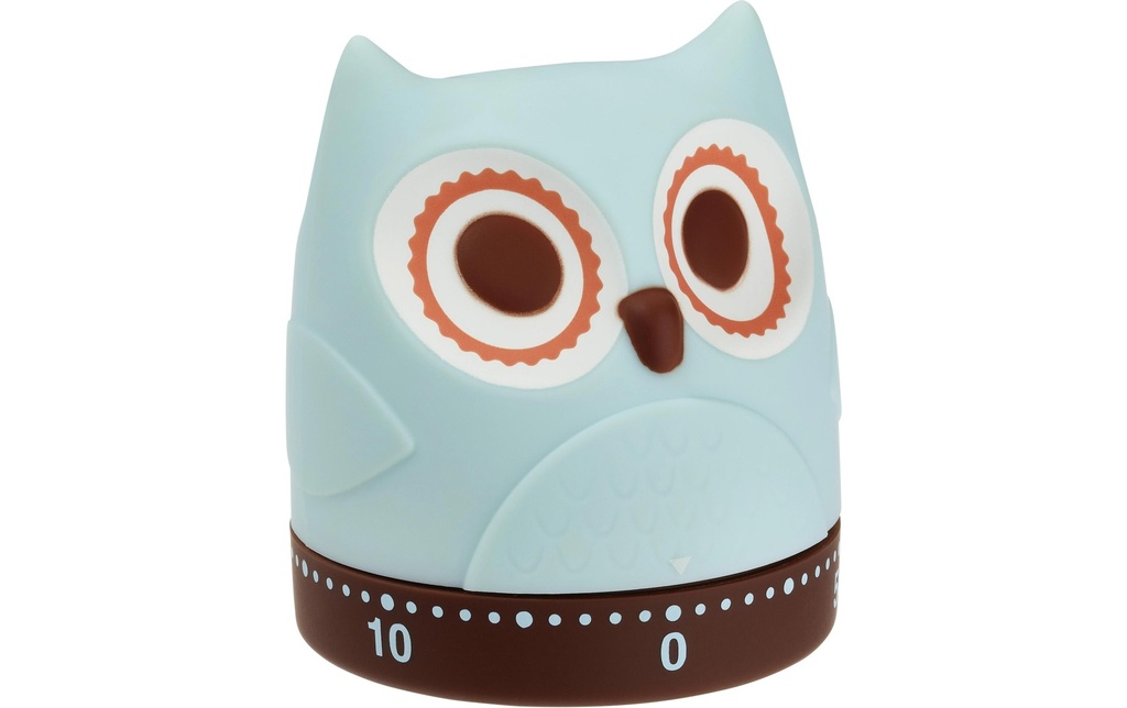 TFA Dostmann Minuteur de cuisine Hibou Turquoise