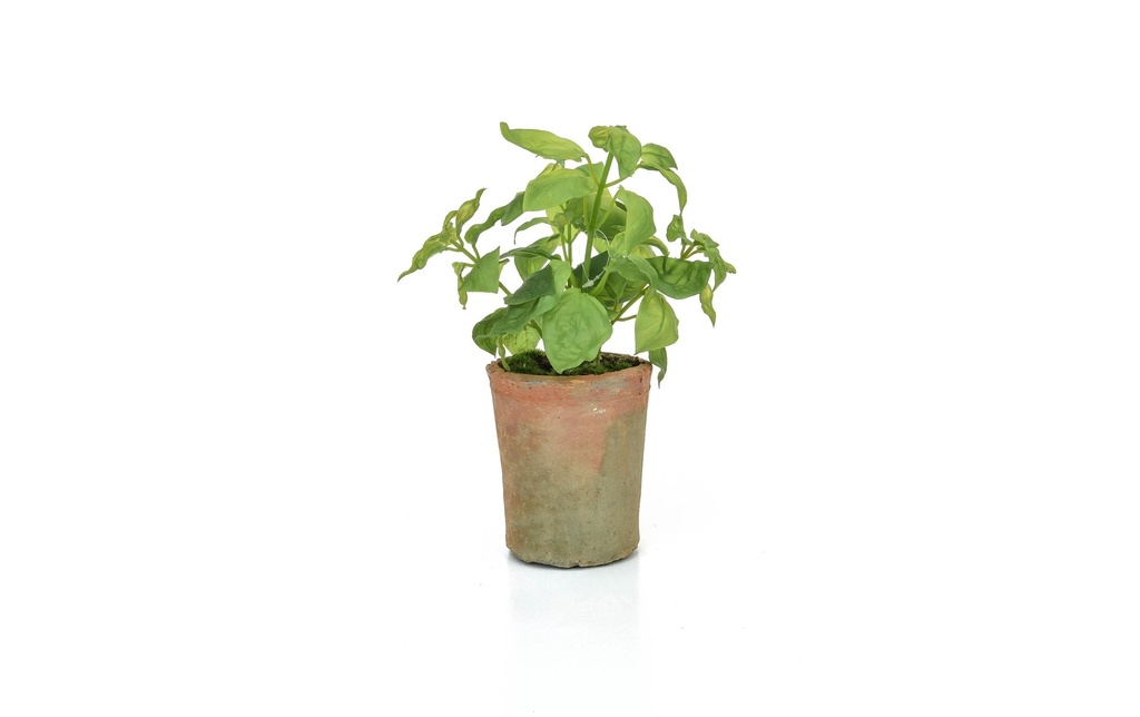 Botanic-Haus Plante artificielle Basilic en pot 28 cm