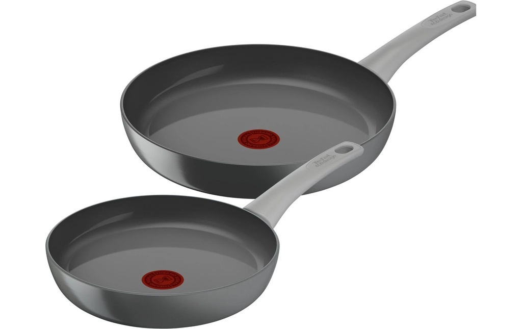Tefal Set de poêle Renew On 24 / 28 cm Gris