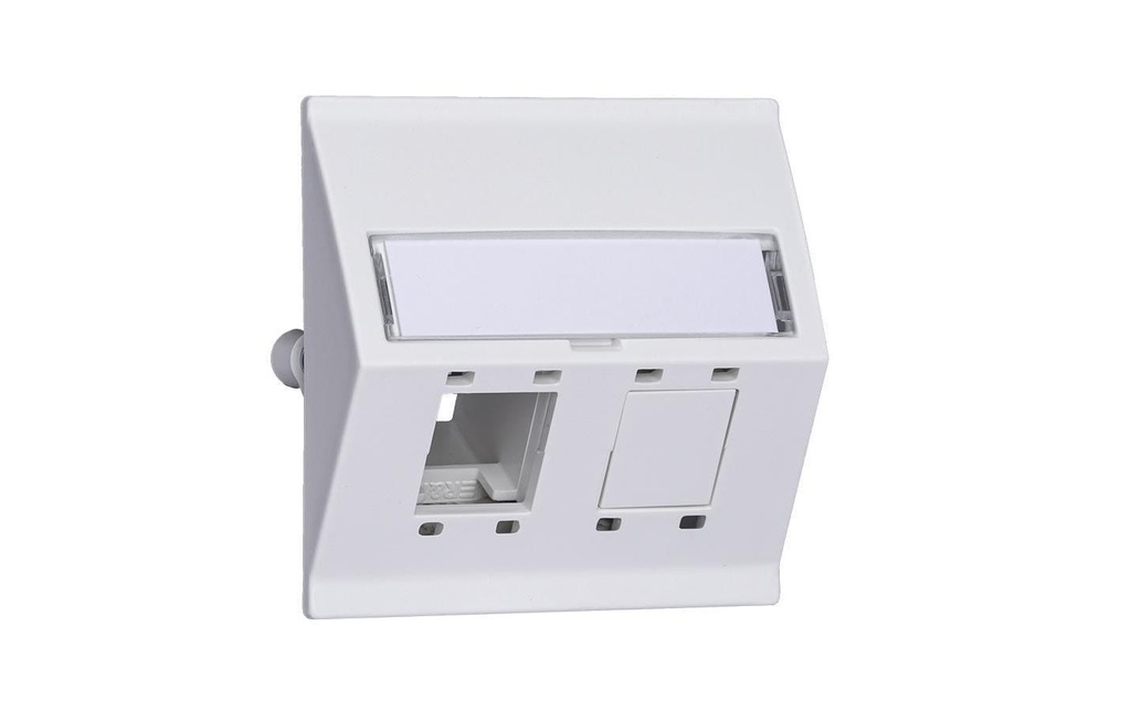 R&M Prise réseau EDIZIOdue 60 x 60, 2 Port vide Combinaison ws Cat 5 6