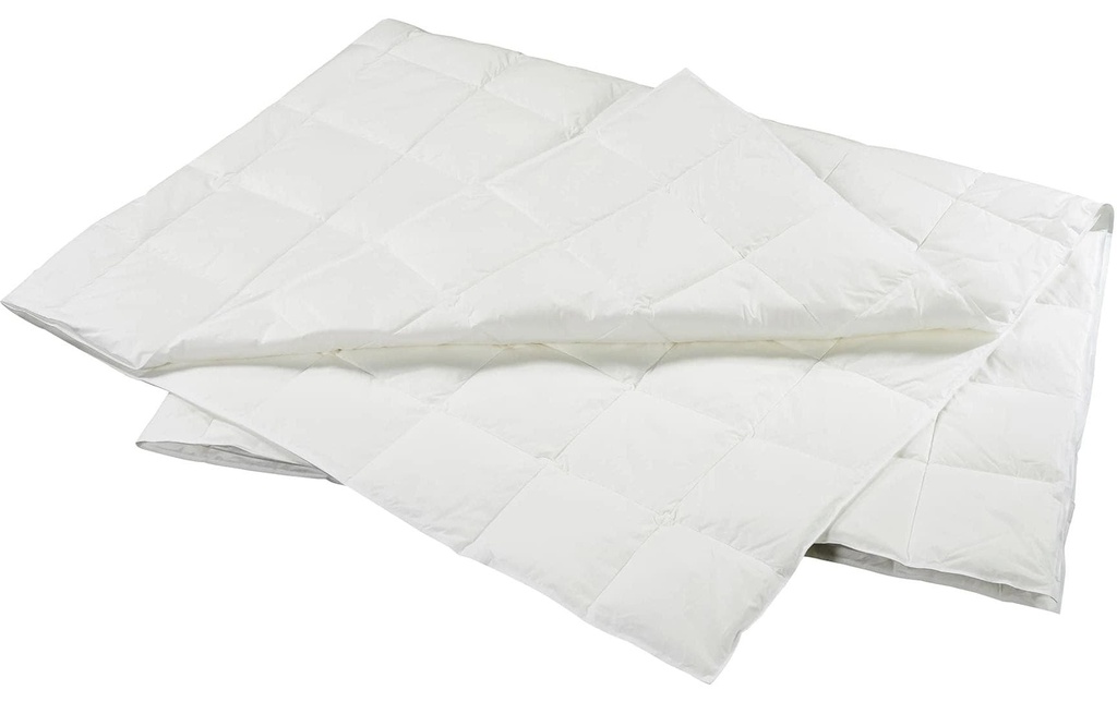 Billerbeck Duvet Goose recyclé Superlight 160 x 210 cm