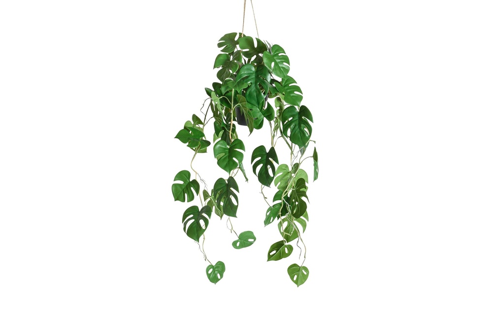 Botanic-Haus Plante artificielle Philodendron suspendu 86 cm