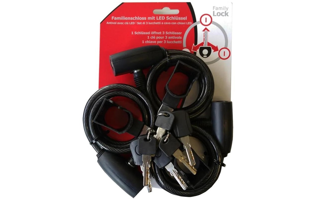 Incirca Antivol pour vélo Câble-antivol avec 6 clés, 120 cm, noir