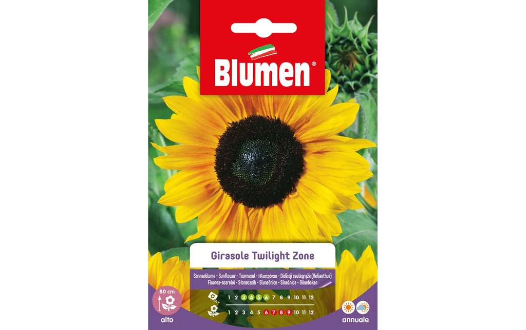Blumen Semence Tournesol Twilight Zone