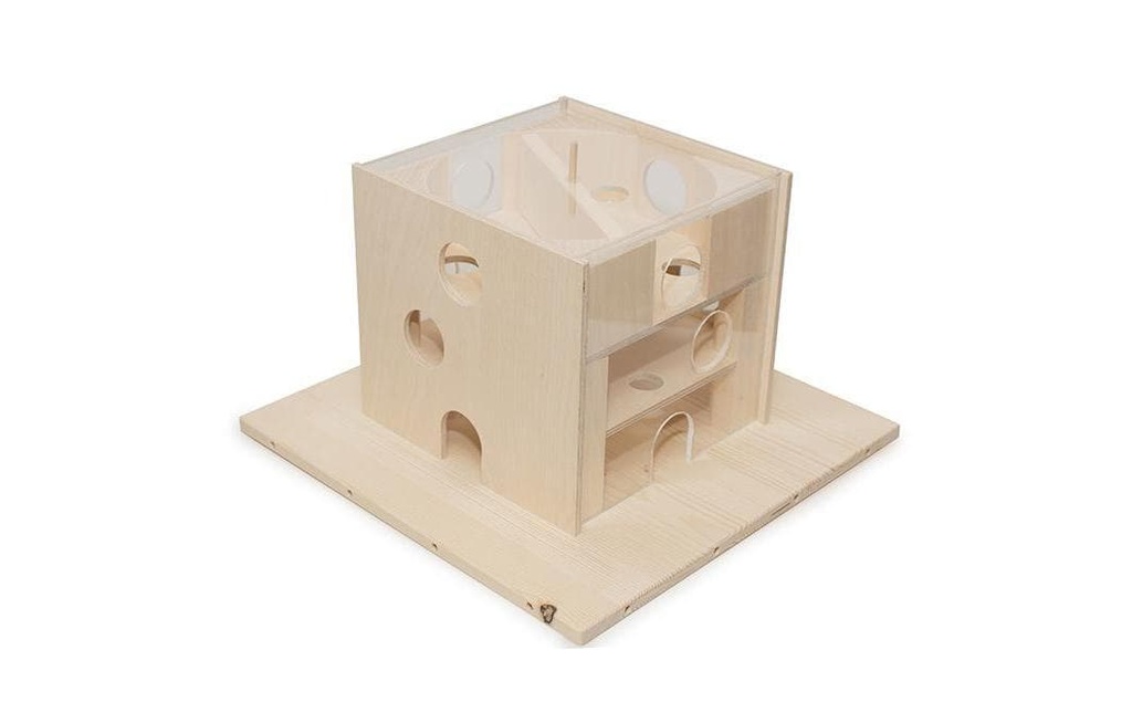 Hundespiele.ch Jeux de stratégie pour chat Chat fouillant la maison en bois