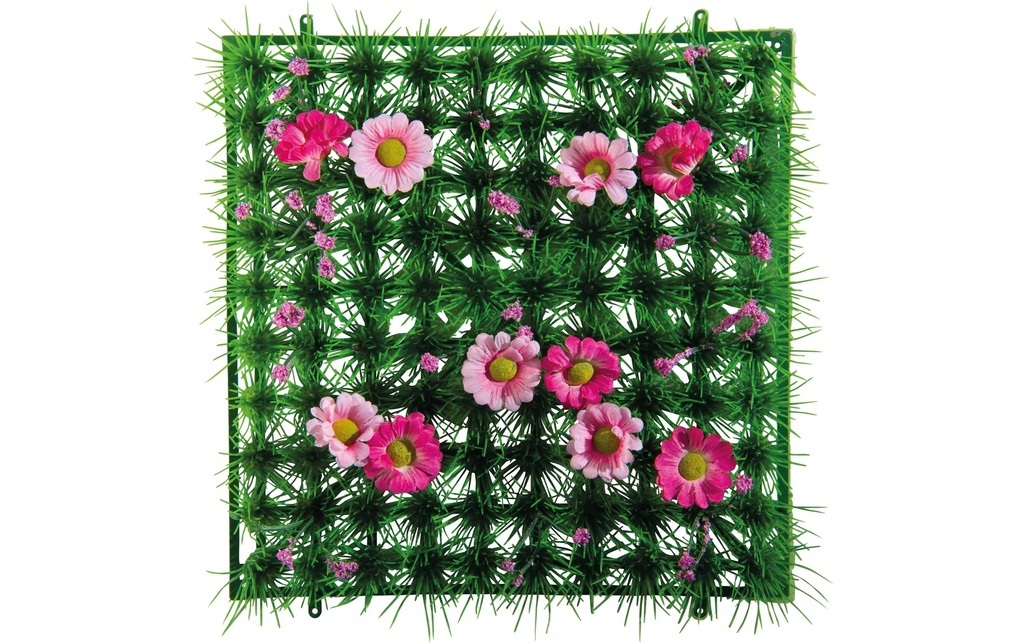Dekomat AG Plaque d'herbe Anémones Vert, Rose