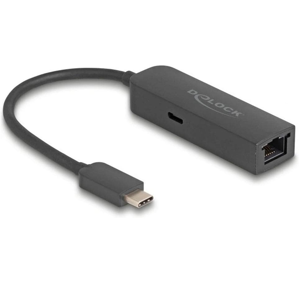 Delock Adaptateurs réseau USB-C – RJ45 2.5Gbps avec PD 100 watts