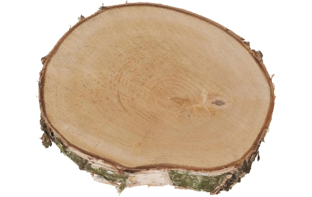 Opiflor Disques en bois rond, 20-30 cm x 3.5 cm