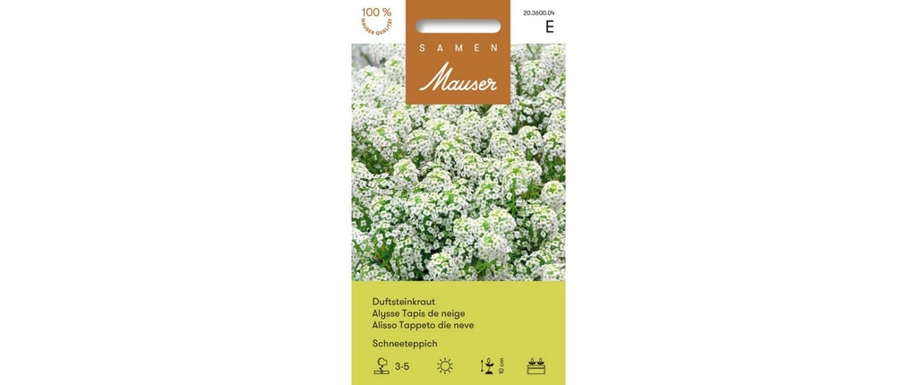 Samen Mauser Semence Tapis de neige Stonewort parfumé