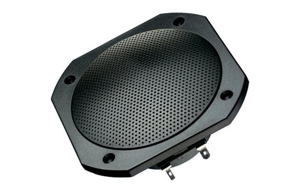 Visaton Haut-parleurs large bande IP65 FRS 10 WP