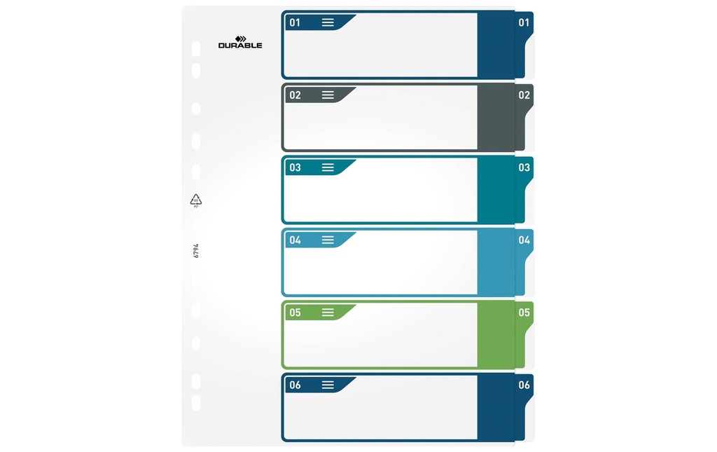 DURABLE Registre A4+, 1-6, 5 couleurs