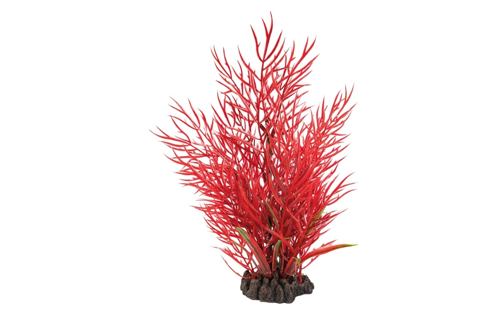 SuperFish Plante artificielle Ludwigia, 25 cm