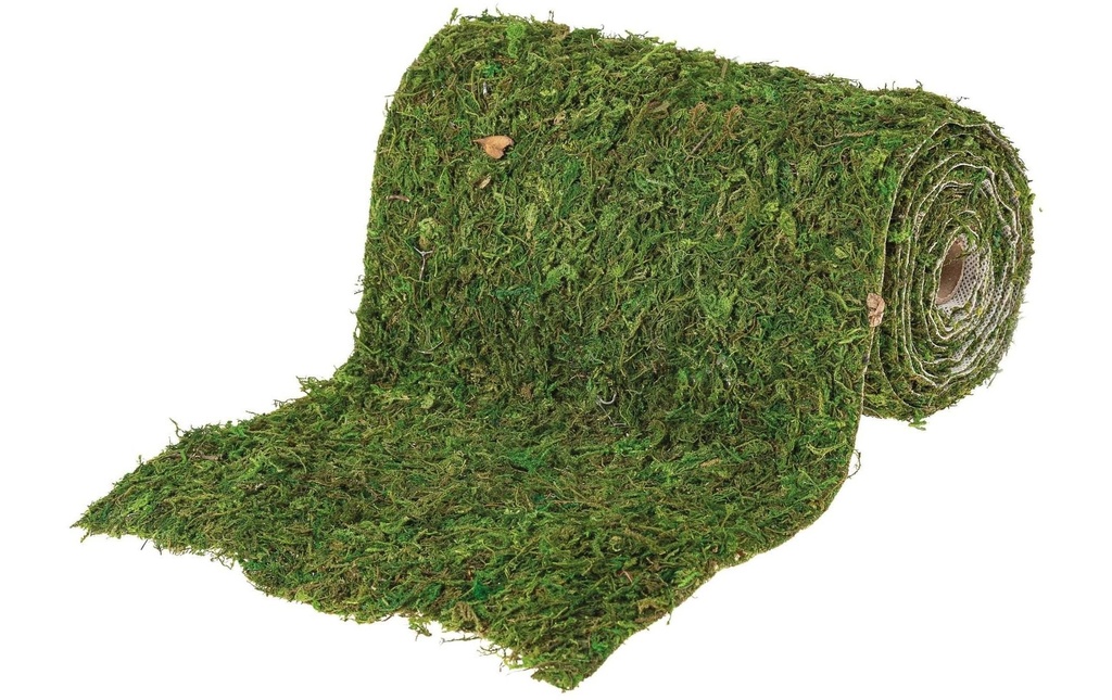 Opiflor Tapis de mousse 200 cm x 20 cm