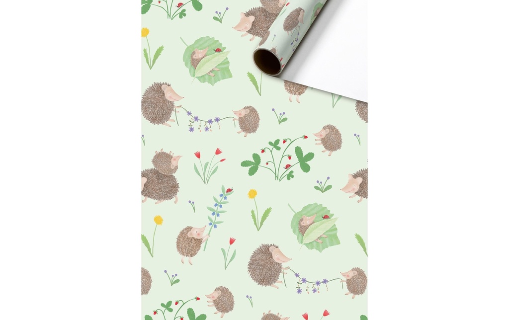 Stewo Papier cadeau Riccio 70 cm × 2 m, 80 g/m 1 Pièce/s, Vert