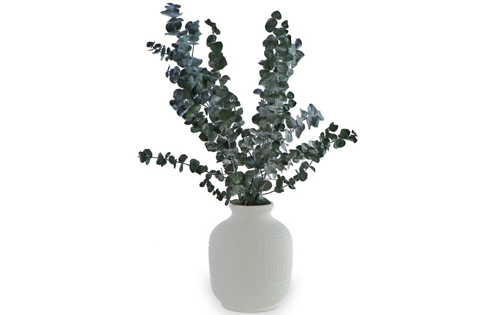 Soli Collection Fleurs séchées Eukalyptus 40-55 cm, vert