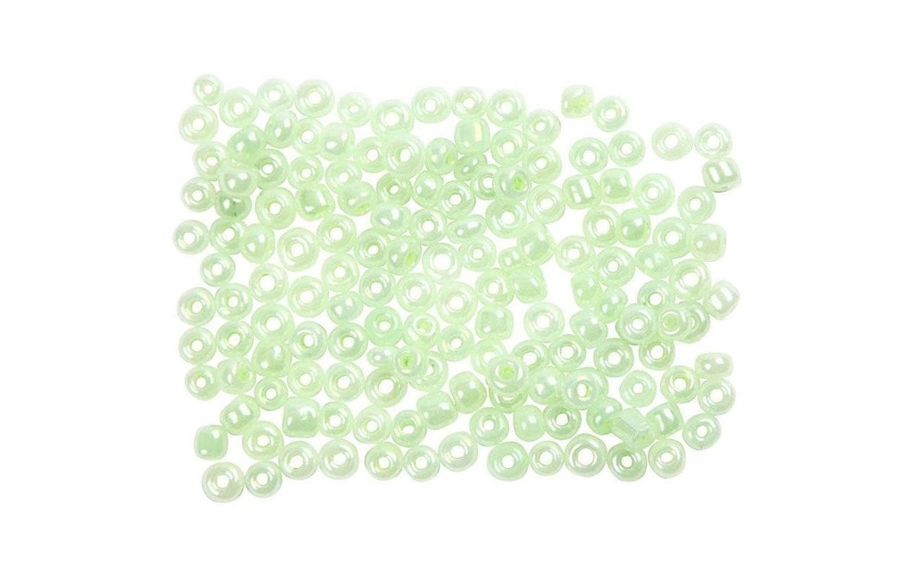 Creativ Company Perles de rocaille 8/0 Vert clair/Semi-transparent