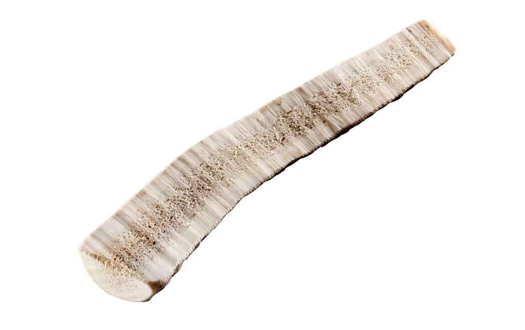 Chewies Barre de bois de cerf rouge S moitié