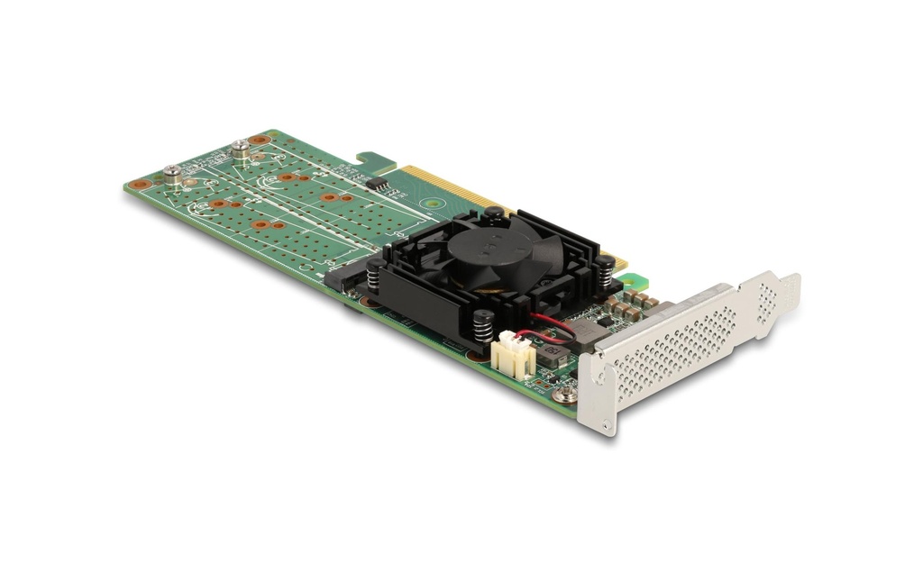 Delock Adaptateur de bus hôte PCI Express x16 - 4x NVMe M.2 Key M