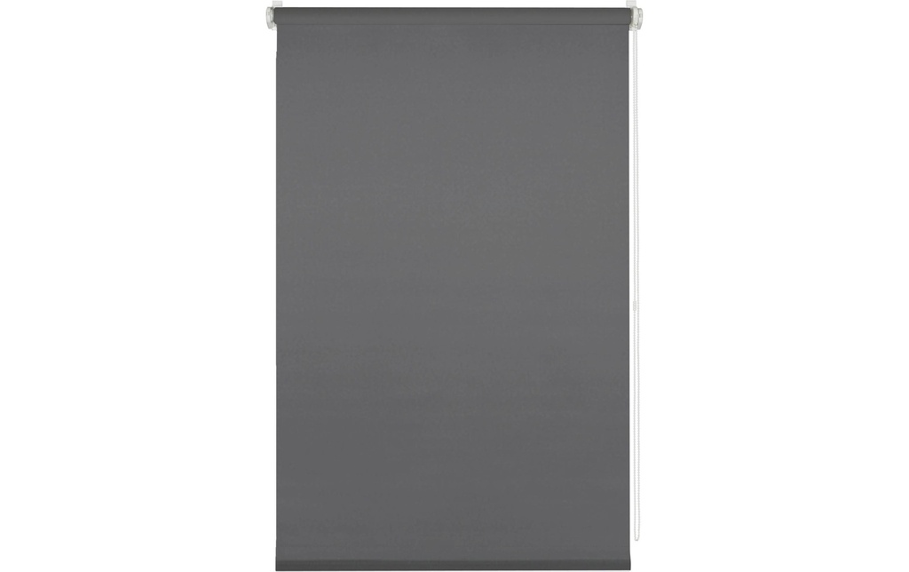 Gardinia Store à enroulement uni 60 x 150 cm, Anthracite