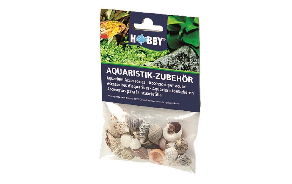 Hobby Aquaristik Décoration Sea Shells Set, S, 20 pièces