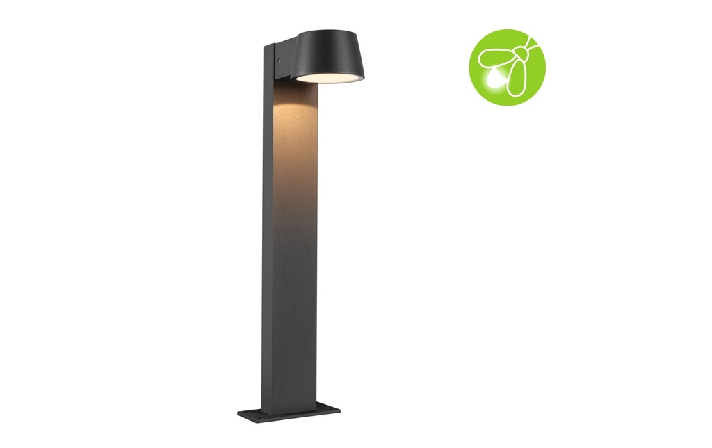 Paulmann Borne d'éclairage LED Capea 230 V Anthracite