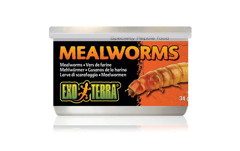 Exo Terra Nourriture en boîte Mealworms, 34 g