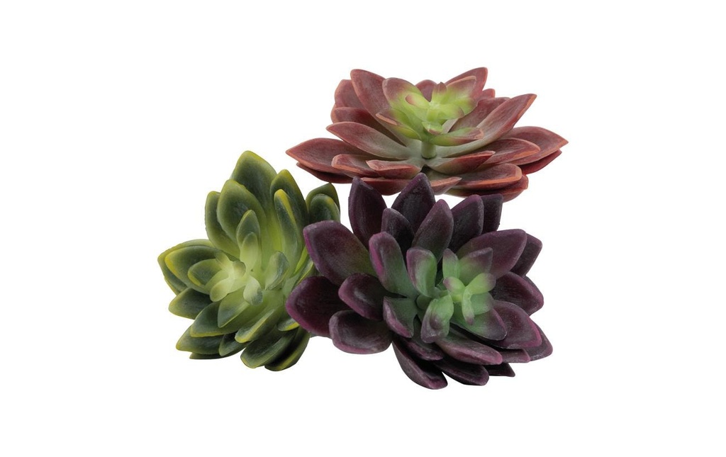 Dekomat AG Plante artificielle Succulentes, set de 3, sans pot, assorties 12 cm