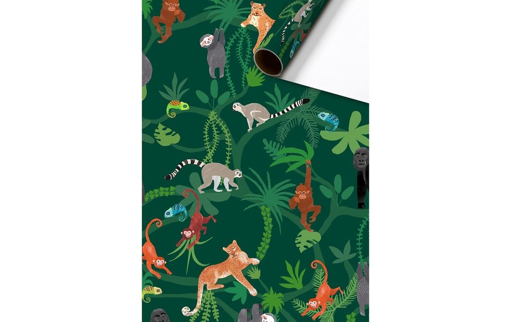 Stewo Papier cadeau Lauro 1 Pièce/s, Vert foncé, 70 cm x 2 m