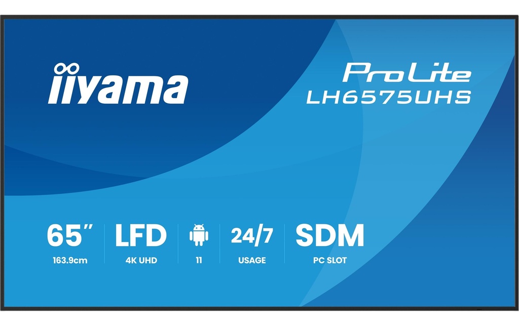 iiyama Ecran Public ProLite LH6575UHS-B2AG 64.5