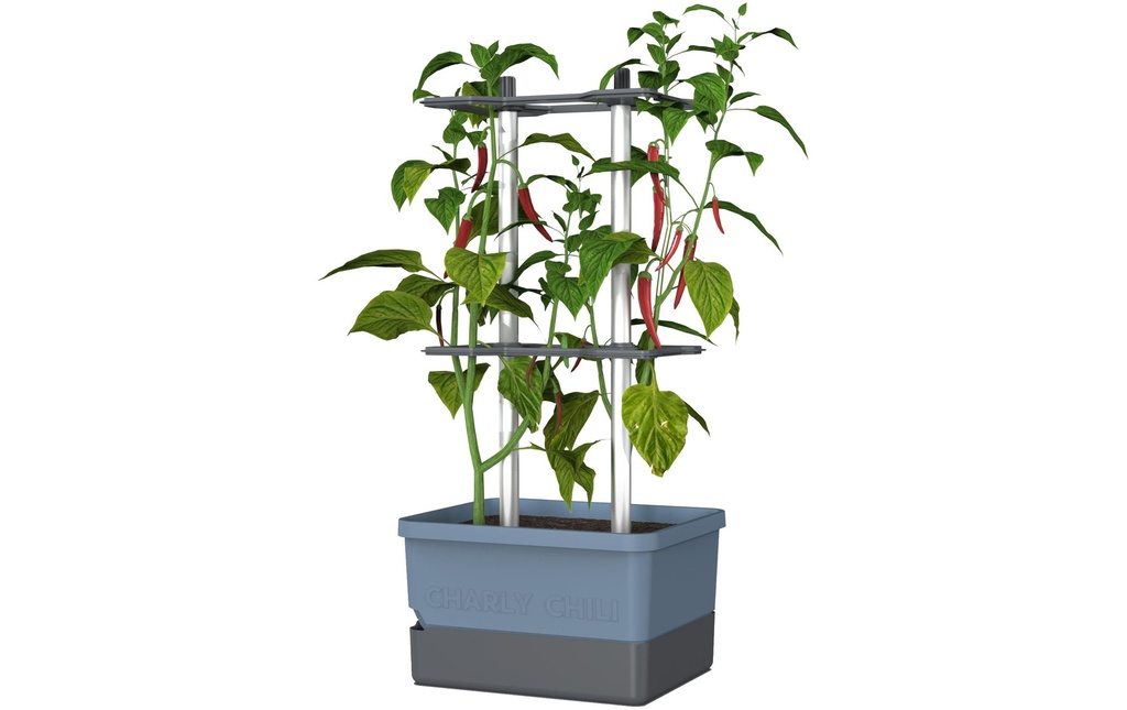 Gusta Garden Pot à fleur Kit de démarrage CHARLY CHILI, Bleu