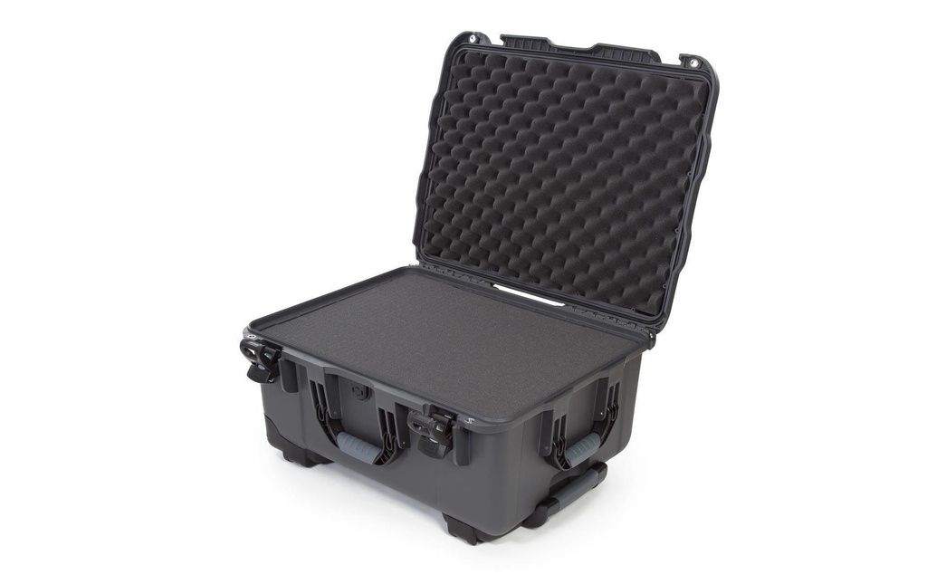 Nanuk Mallette en plastique 950 - avec mousse Graphite