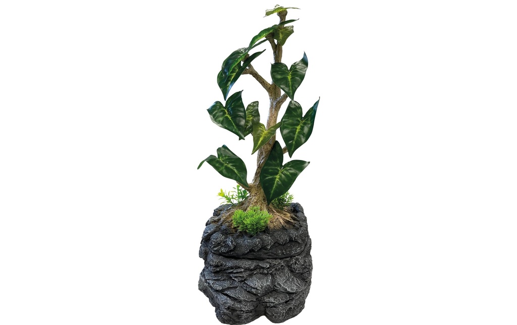 Repto arbre dégoulinant