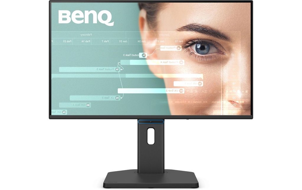 BenQ Moniteur BL2490TC 23.8 , 1920 x 1080 (Full HD)