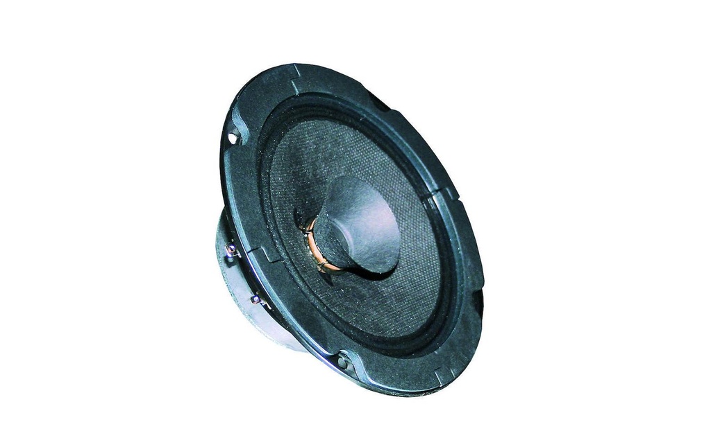 Visaton Haut-parleurs large bande BG 13 P