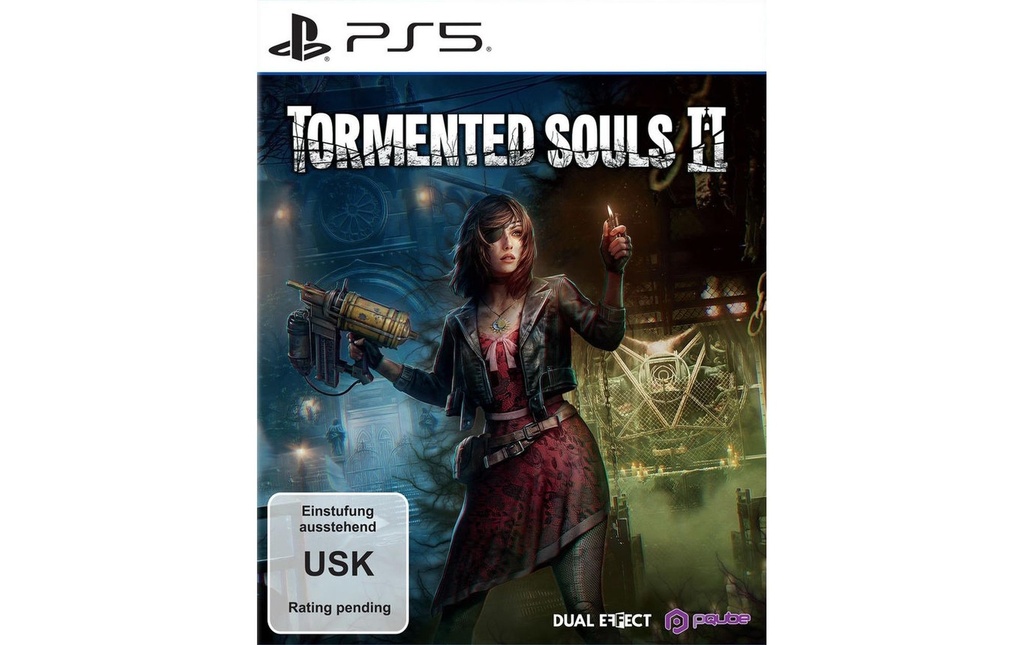 Flashpoint Tormented Souls 2 [PS5] (D) (Boîte)