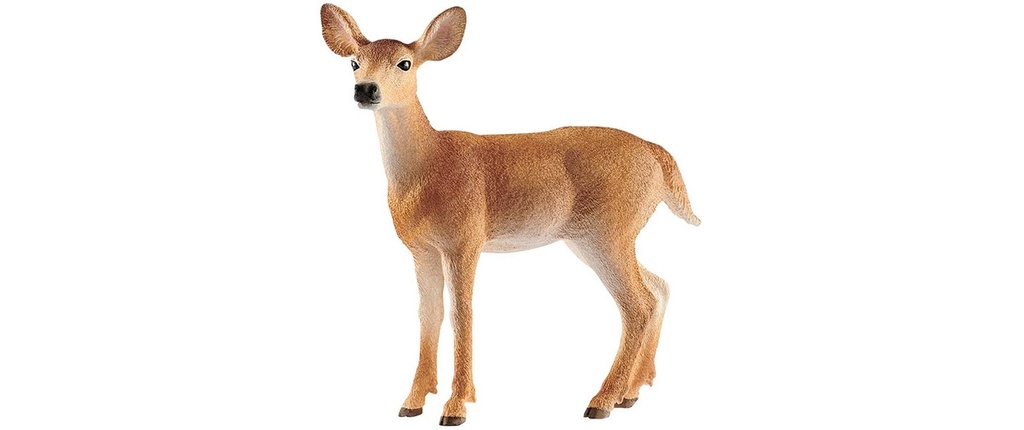 Schleich Figurine de jeu Wild Life Cerf de Virginie