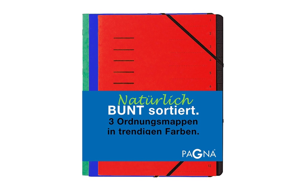 Pagna Classeur à compartiments Basic Set Bleu/Rouge/Vert