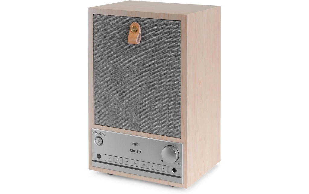 Audizio Radio Internet Canzo Brun