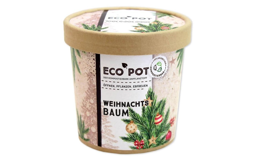 Feel Green EcoPot Sapin de Noël