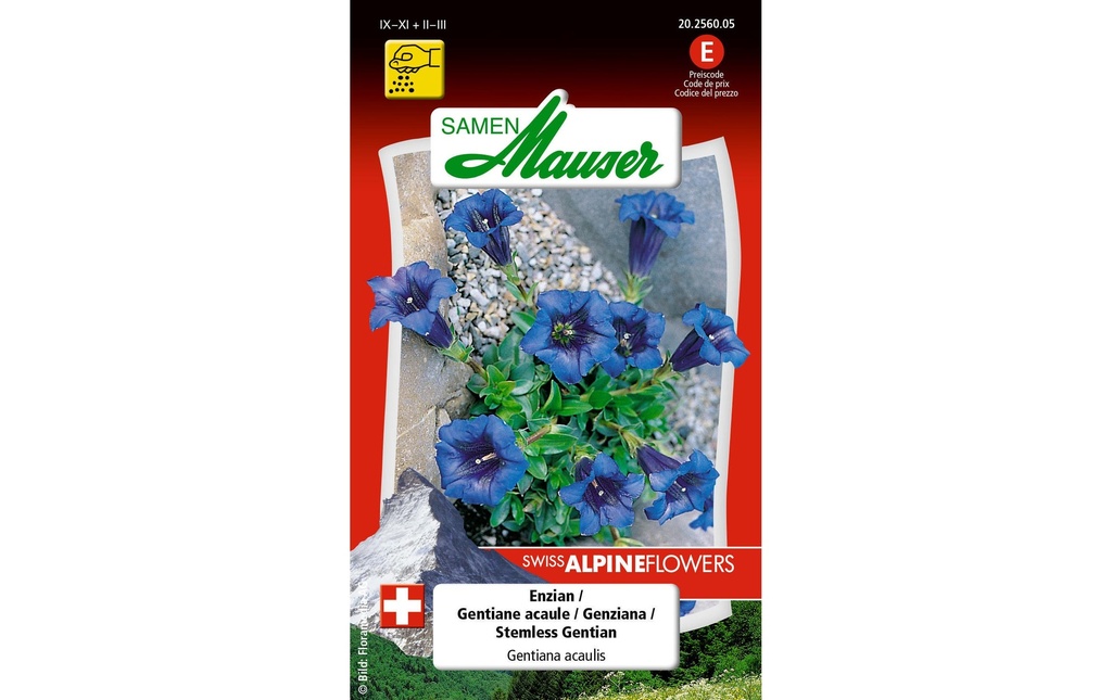 Samen Mauser Fleurs alpines gentiane