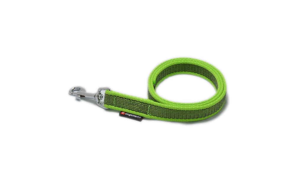 dogsmart Longe caoutchouté 6 m / 20 mm avec dragonne