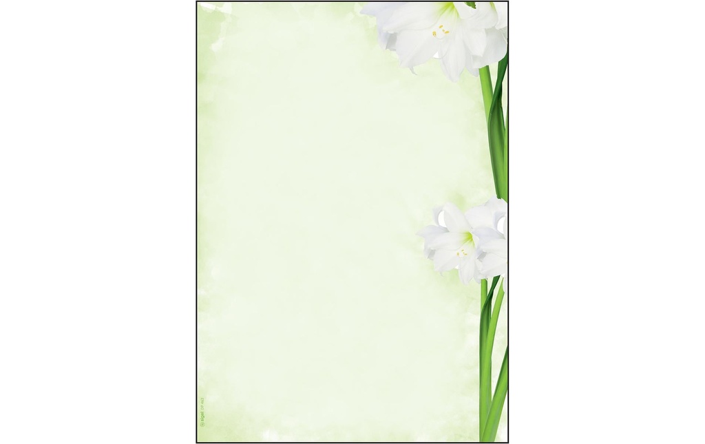 Sigel Papier à motif Green Flower A4, 25 feuilles