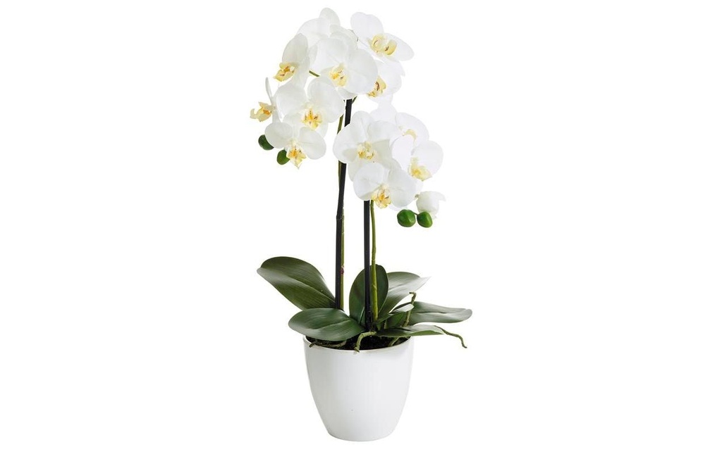 Botanic-Haus Fleur artificielle Phalenopsis 2 panicules, 54 cm, avec pot