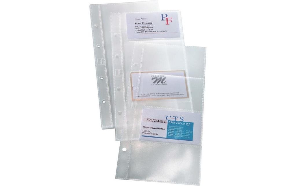 SIGEL Poches pr. cart. vis pr. 40car (10 pces)